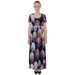 Snail Shells Pattern Arianta Arbustorum High Waist Short Sleeve Maxi Dress by artworkshop