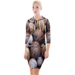 Snail Shells Pattern Arianta Arbustorum Quarter Sleeve Hood Bodycon Dress by artworkshop