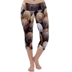 Snail Shells Pattern Arianta Arbustorum Capri Yoga Leggings by artworkshop