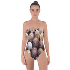 Snail Shells Pattern Arianta Arbustorum Tie Back One Piece Swimsuit by artworkshop