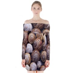 Snail Shells Pattern Arianta Arbustorum Long Sleeve Off Shoulder Dress by artworkshop