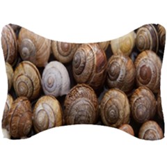 Snail Shells Pattern Arianta Arbustorum Seat Head Rest Cushion by artworkshop