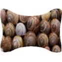 Snail Shells Pattern Arianta Arbustorum Seat Head Rest Cushion View1