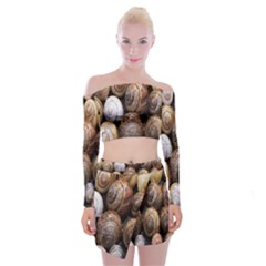 Snail Shells Pattern Arianta Arbustorum Off Shoulder Top With Mini Skirt Set by artworkshop