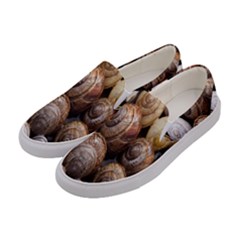 Snail Shells Pattern Arianta Arbustorum Women s Canvas Slip Ons by artworkshop