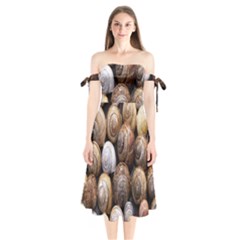 Snail Shells Pattern Arianta Arbustorum Shoulder Tie Bardot Midi Dress by artworkshop