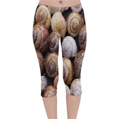 Snail Shells Pattern Arianta Arbustorum Velvet Capri Leggings  by artworkshop