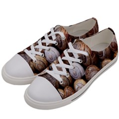 Snail Shells Pattern Arianta Arbustorum Men s Low Top Canvas Sneakers by artworkshop