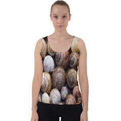 Snail Shells Pattern Arianta Arbustorum Velvet Tank Top by artworkshop