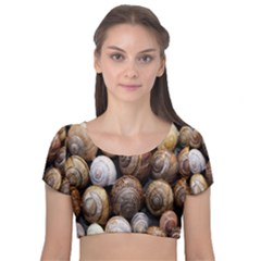 Snail Shells Pattern Arianta Arbustorum Velvet Short Sleeve Crop Top  by artworkshop