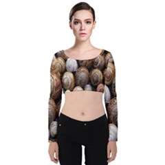 Snail Shells Pattern Arianta Arbustorum Velvet Long Sleeve Crop Top by artworkshop