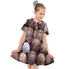 Snail Shells Pattern Arianta Arbustorum Kids  Short Sleeve Shirt Dress by artworkshop