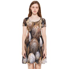 Snail Shells Pattern Arianta Arbustorum Inside Out Cap Sleeve Dress by artworkshop