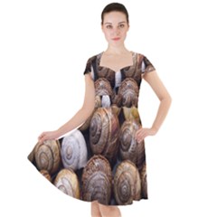 Snail Shells Pattern Arianta Arbustorum Cap Sleeve Midi Dress by artworkshop