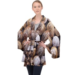 Snail Shells Pattern Arianta Arbustorum Long Sleeve Velvet Kimono  by artworkshop