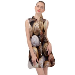 Snail Shells Pattern Arianta Arbustorum Sleeveless Shirt Dress by artworkshop