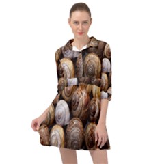 Snail Shells Pattern Arianta Arbustorum Mini Skater Shirt Dress by artworkshop