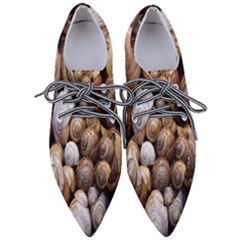 Snail Shells Pattern Arianta Arbustorum Pointed Oxford Shoes by artworkshop