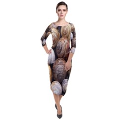 Snail Shells Pattern Arianta Arbustorum Quarter Sleeve Midi Velour Bodycon Dress by artworkshop