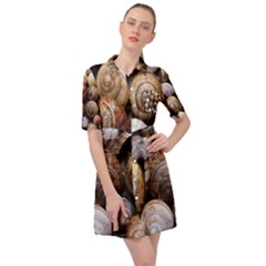 Snail Shells Pattern Arianta Arbustorum Belted Shirt Dress by artworkshop