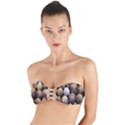 Snail Shells Pattern Arianta Arbustorum Twist Bandeau Bikini Top View1