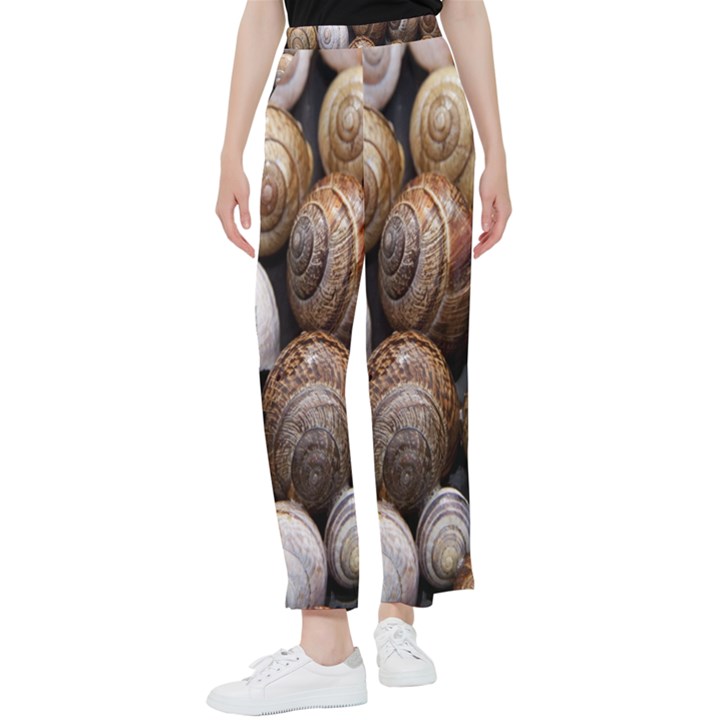 Snail Shells Pattern Arianta Arbustorum Women s Pants 