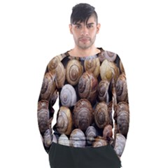 Snail Shells Pattern Arianta Arbustorum Men s Long Sleeve Raglan Tee