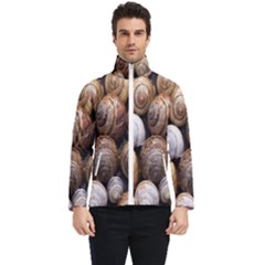 Snail Shells Pattern Arianta Arbustorum Men s Bomber Jacket