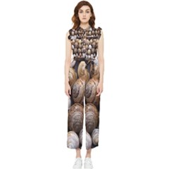 Snail Shells Pattern Arianta Arbustorum Women s Frill Top Chiffon Jumpsuit by artworkshop