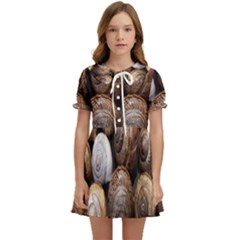 Snail Shells Pattern Arianta Arbustorum Kids  Sweet Collar Dress by artworkshop