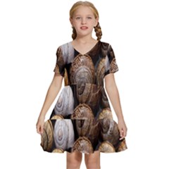 Snail Shells Pattern Arianta Arbustorum Kids  Short Sleeve Tiered Mini Dress by artworkshop