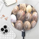 Snail Shells Pattern Arianta Arbustorum Wireless Charger View1