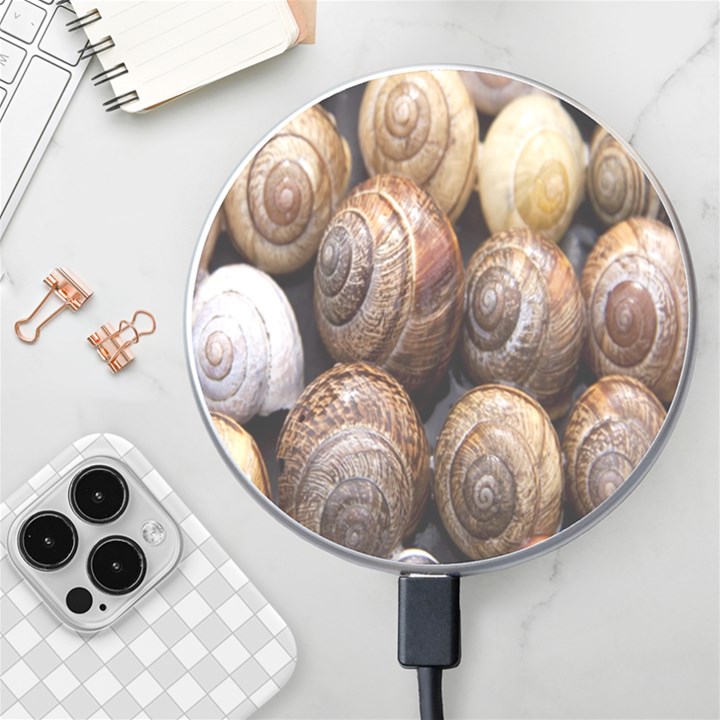 Snail Shells Pattern Arianta Arbustorum Wireless Charger