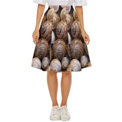 Snail Shells Pattern Arianta Arbustorum Classic Short Skirt