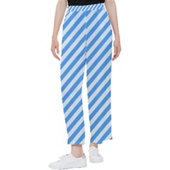 Stripes-lines Blue Women s Pants 