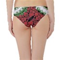 IM Fourth Dimension Colour 9 Hipster Bikini Bottoms View2