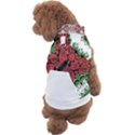 IM Fourth Dimension Colour 9 Dog Sweater View2