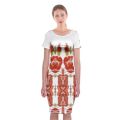 Im Fourth Dimension Colour 13 Classic Short Sleeve Midi Dress by imanmulyana