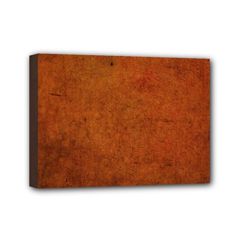 Brown Mini Canvas 7  X 5  (stretched) by nateshop