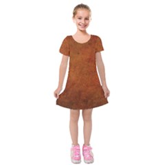 Brown Kids  Short Sleeve Velvet Dress by nateshop