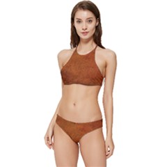 Brown Banded Triangle Bikini Set