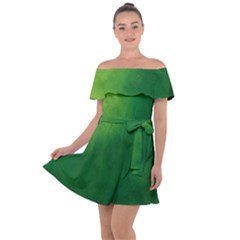 Light Green Abstract Off Shoulder Velour Dress by nateshop