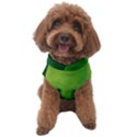 Light Green Abstract Dog Sweater View1