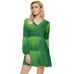 Light Green Abstract Tiered Long Sleeve Mini Dress by nateshop