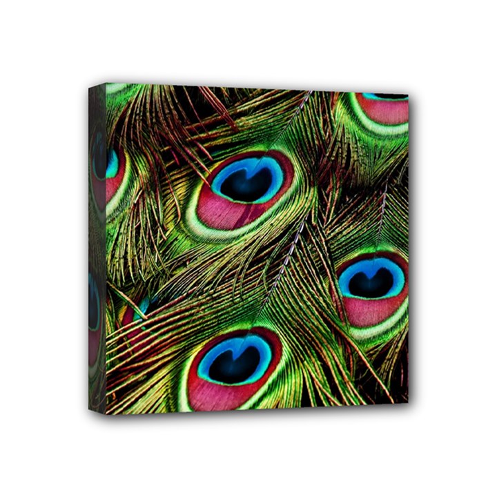 Peacock-feathers-color-plumage Mini Canvas 4  x 4  (Stretched)