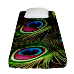 Peacock-feathers-color-plumage Fitted Sheet (single Size) by Celenk