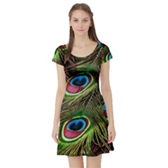 Peacock-feathers-color-plumage Short Sleeve Skater Dress by Celenk