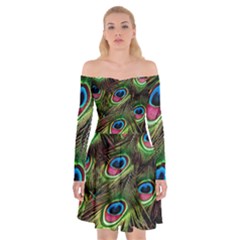 Peacock-feathers-color-plumage Off Shoulder Skater Dress by Celenk