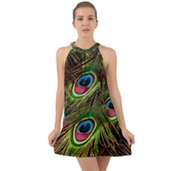 Peacock-feathers-color-plumage Halter Tie Back Chiffon Dress by Celenk