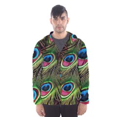 Peacock-feathers-color-plumage Men s Hooded Windbreaker